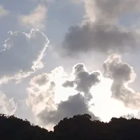 T/G