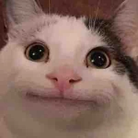 Sai Đẹp Triêu(T/g)