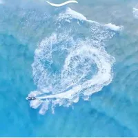 các chị ( DA,TT,MĐ)