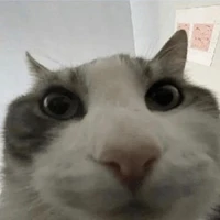t/g