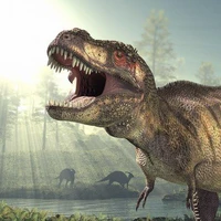 T Rex (T Rex sensei)