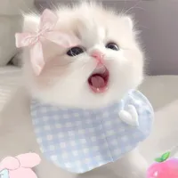 Sữa