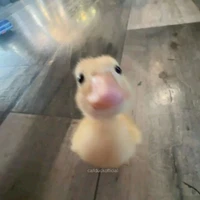 tg thik bede chứ kh chs bede🙂‍↕️