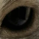 Chấm hỏi chấm hỏi chấm hỏi