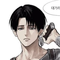 Levi