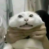 t/g