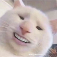 Tác giả yêu đời :)))