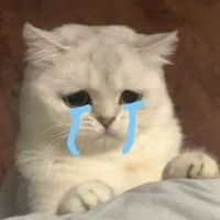 Cân mọi vai