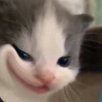 All Tất cả