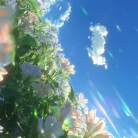 Tác giả chui vào hihi