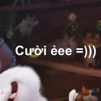 :○