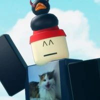 007e7