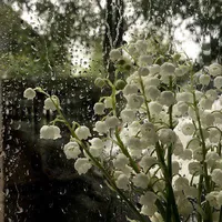 mọi người (trừ yayoi)