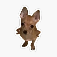 Tác giả so cư tê🥰🥰🥰