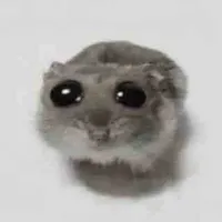 T/G flop điên