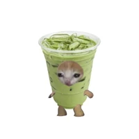 Hệ thống dưa dưa