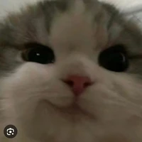 t/g