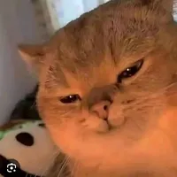 ba đứa nhóc