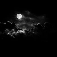 Thành Phong Tông(TL)