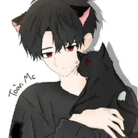 toàn