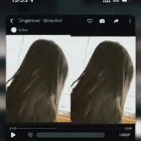 TG nò