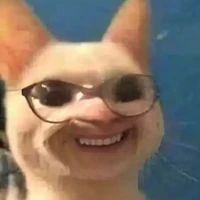 cả nhóm cả đàn j đó (trừ ai thì trừ