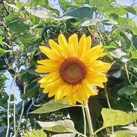 ~★ţåč_ĝīå★~