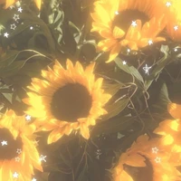 bông hoa nhỏ bên lề.