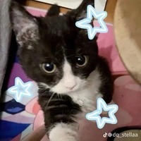 Tác giả của vo iuu ><