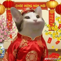 Gia Linh