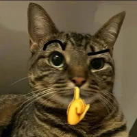 Uy