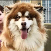 Béo (Alaska)