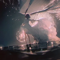 Chrysanthemum Symbolism | Author