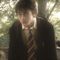 𝐇𝐚𝐫𝐫𝐲 𝐏𝐨𝐭𝐭𝐞𝐫