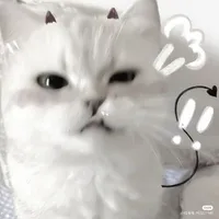 Hệ thống của Reo