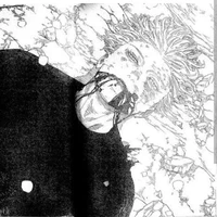 gojo1/2