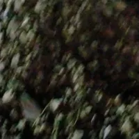 kẻ chả quan trọng