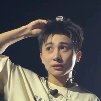 lê Hồng Sơn