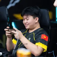 Phạm Hoàng Việt_Mufasa