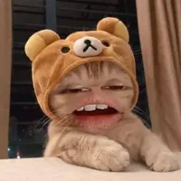 em níc🛌🏻_tác giả