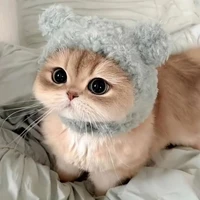 Hệ thống 1609/cua/