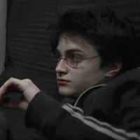 Harry Potter.