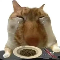 BaogiờChucôngtửhếtsimpnguthìđổitên