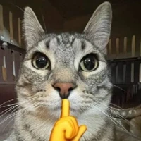 t/g bị nghiện allchance