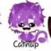 hiha catnap
