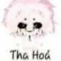 hiha tha hóa