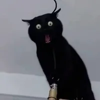 Tg này bị khùm 2 năm