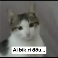 t/g
