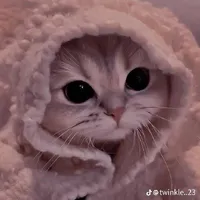 Bạch Thần Chu / BTC