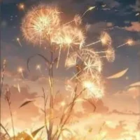 hệ thống "Đáng Đồng Tiền Bát Gạo"